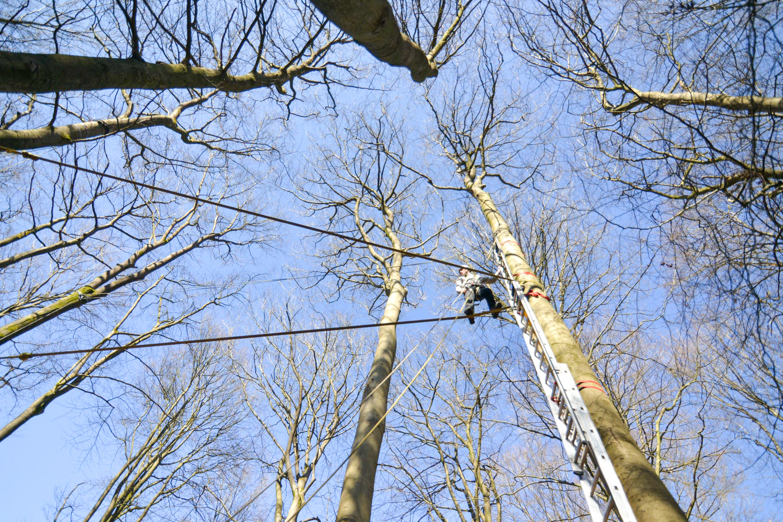 Betere arbeidsvoorwaarden zijn niet de duurzame oplossing
