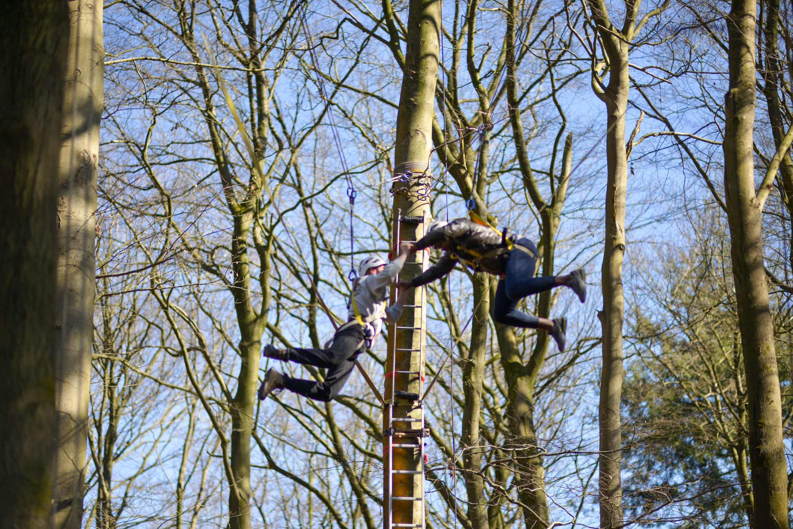 Life-Adventures-Acq - 1236